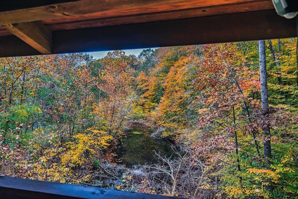 Mama Bear'S Retreat Villa Sevierville Dış mekan fotoğraf